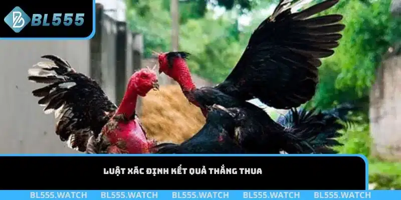 Luật xác định kết quả thắng thua