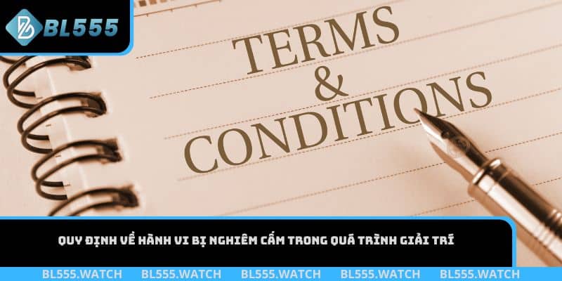 Quy định về hành vi bị nghiêm cấm trong quá trình giải trí tại BL555